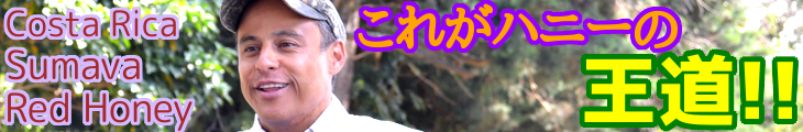 コスタリカ シュマバ モンテ・ジャノボニート農園 カツーラ(レッドハニー)