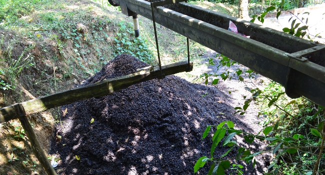 除去された果肉の山
