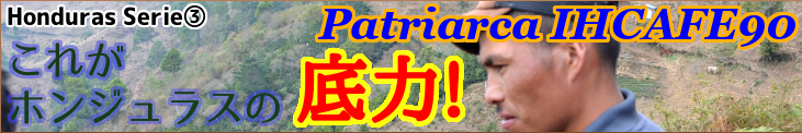 ホンジュラス パトリアルカ農園 イカフェ90