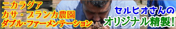 ニカラグア カサ・ブランカ農園 カツーラ(ダブル・ファーメンテーション)