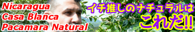 ニカラグア カサ・ブランカ農園 パカマラ(ナチュラル)