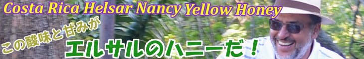 コスタリカ エルサル ナンシー農園 カツーラ(イエローハニー)