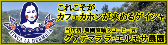 グアテマラ ラ・エルモサ農園 ゲイシャ