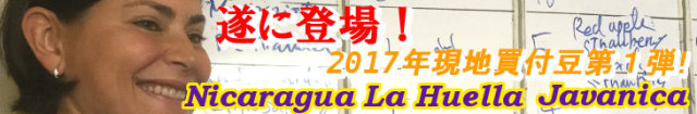 ニカラグア ラ・ウエリャ農園 ジャバニカ